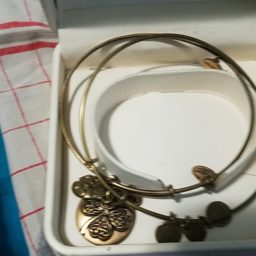 Nice lucky charm and lady bug Alex and Ani